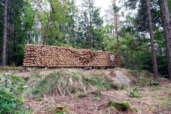 STI FOR ØYE - Land Art Trail, Stokke (Norway)
Site: Forest clearing, where many pines had to be felled recently due to a sickness. Their wood was used for
the work.
Logs, iron frame, steel thread bars, paint
2 x 9 x 0,6 m