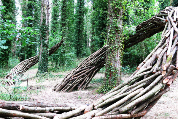 Saint-malo 2019
oak
long: 15m large: 5m height: 3m