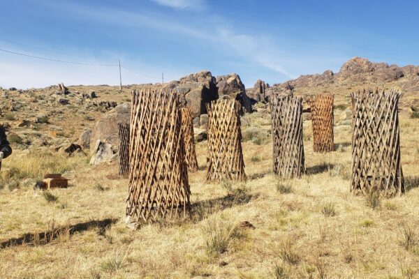 Nomad Spirit International Art Program, Deren Soum, Dundgobi Province, Mongolia