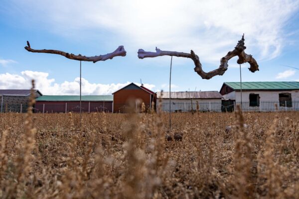 Nomad Spirit International Art Program, Deren Soum, Dundgobi Province, Mongolia