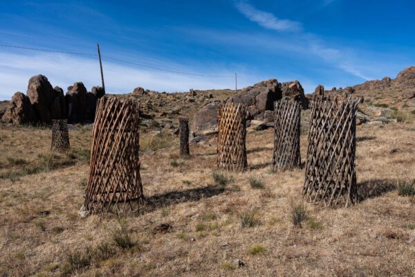 Nomad Spirit International Art Program, Deren Soum, Dundgobi Province, Mongolia