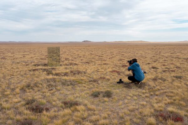 Nomad Spirit International Art Program, Deren Soum, Dundgobi Province, Mongolia