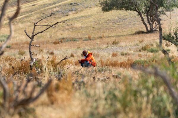 Research in Deren Soum Dundgobi Province