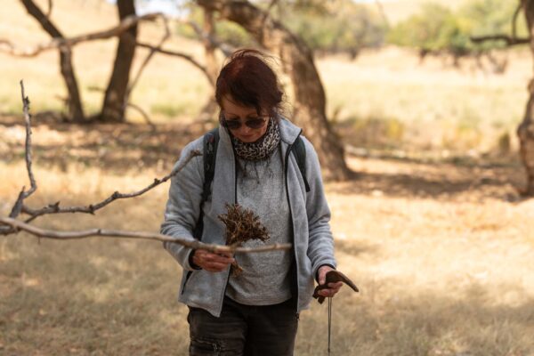 Research in Deren Soum Dundgobi Province