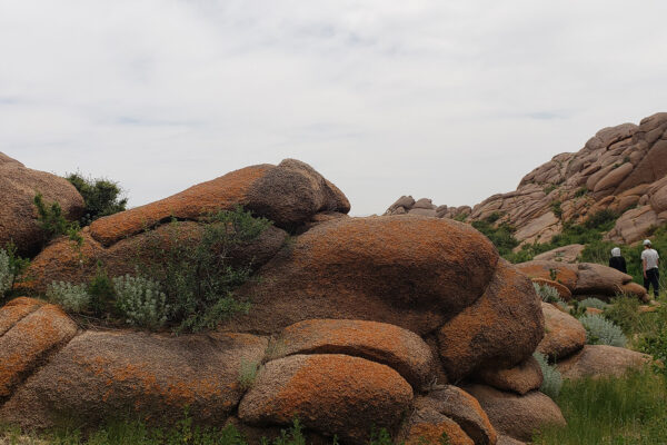 20250616_141915 copy 2