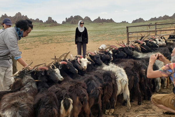 20250616_150218 copy